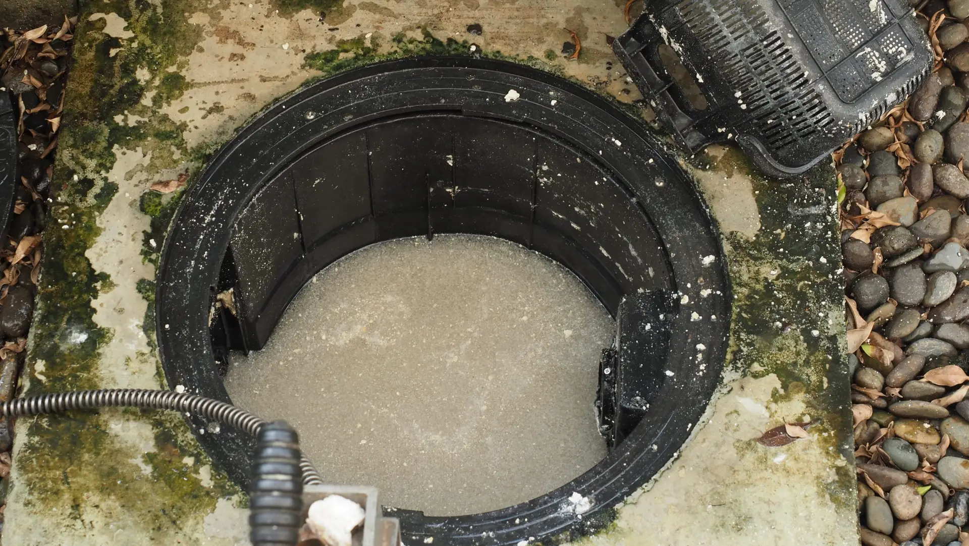 water damage restoration Northchase